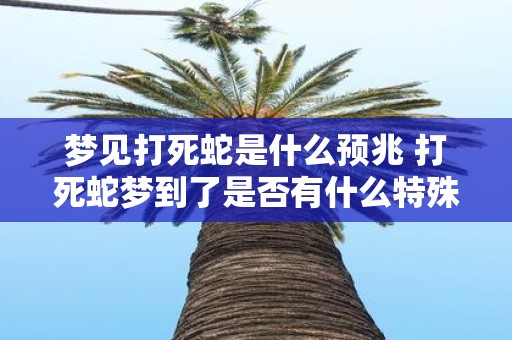 梦见打死蛇是什么预兆 打死蛇梦到了是否有什么特殊的预兆