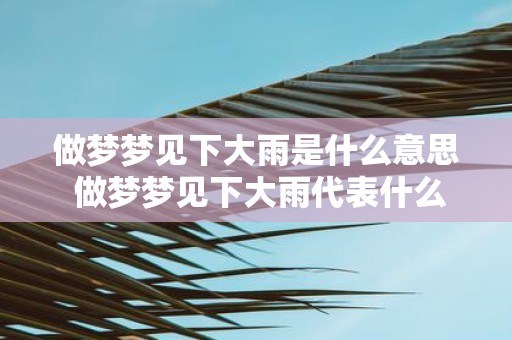 做梦梦见下大雨是什么意思 做梦梦见下大雨代表什么含义