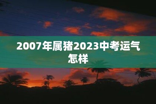 2007年属猪2025中考运气怎样