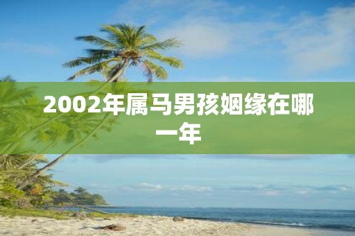 2002年属马男孩姻缘在哪一年