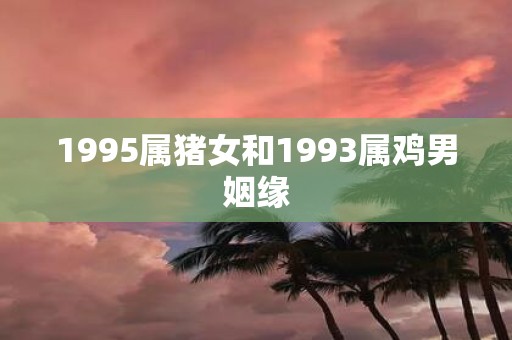 1995属猪女和1993属鸡男姻缘