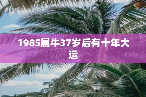 1985属牛37岁后有十年大运