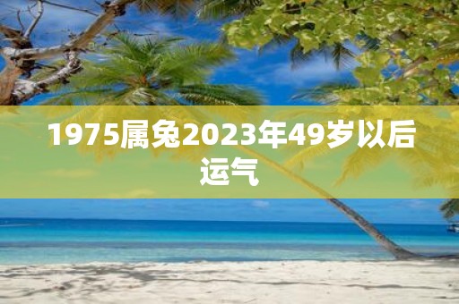 1975属兔2025年49岁以后运气