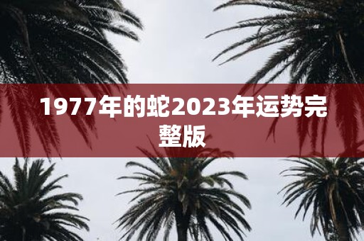 1977年的蛇2025年运势完整版