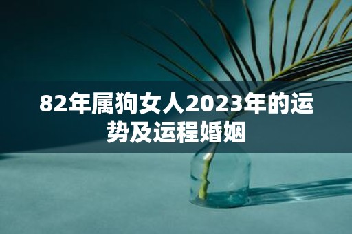 82年属狗女人2025年的运势及运程婚姻