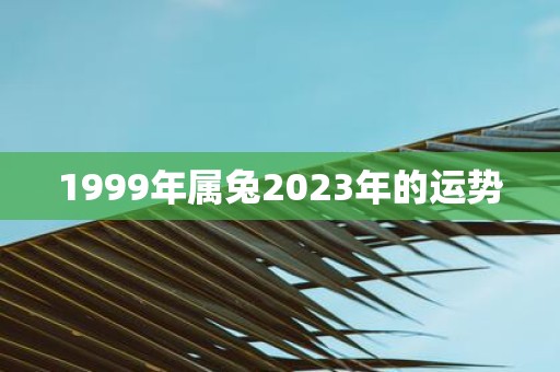 1999年属兔2025年的运势