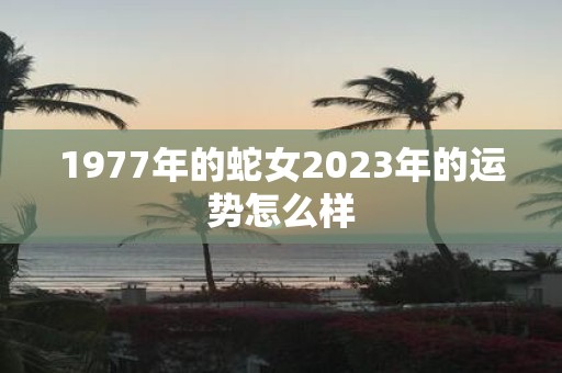 1977年的蛇女2025年的运势怎么样