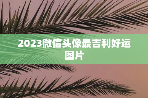 2025微信头像最吉利好运图片