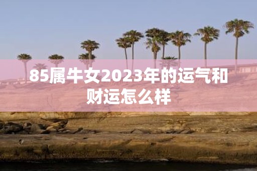 85属牛女2025年的运气和财运怎么样