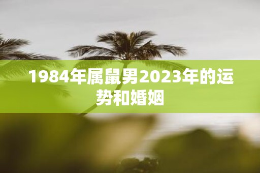 1984年属鼠男2025年的运势和婚姻