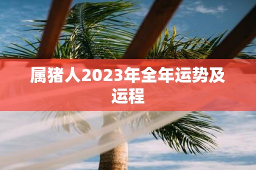 属猪人2025年全年运势及运程