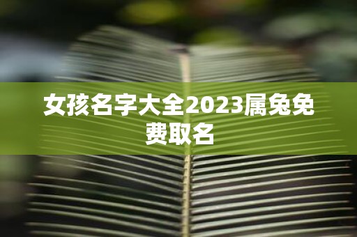 女孩名字大全2025属兔免费取名