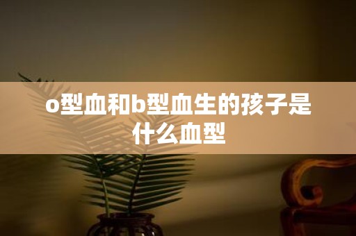 o型血和b型血生的孩子是什么血型