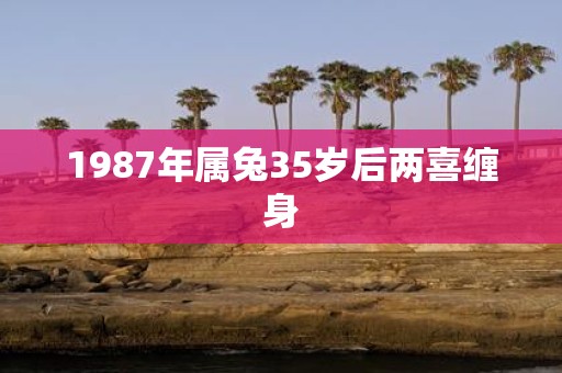 1987年属兔35岁后两喜缠身