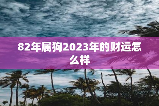 82年属狗2025年的财运怎么样
