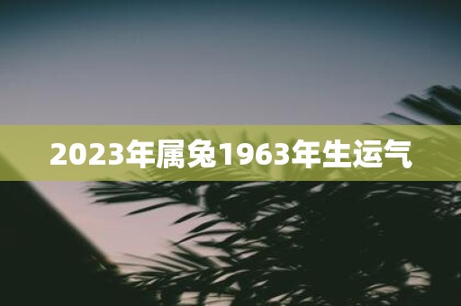 2025年属兔1963年生运气