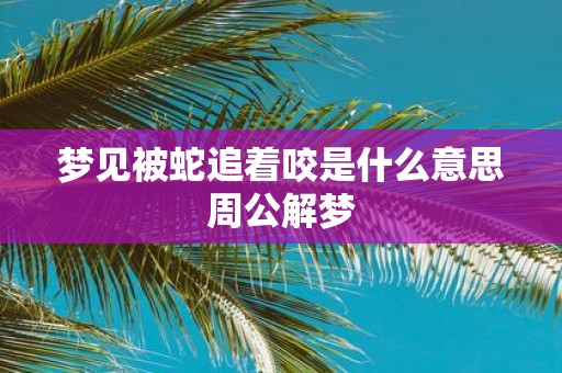 梦见被蛇追着咬是什么意思周公解梦