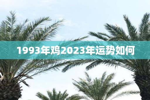 1993年鸡2025年运势如何