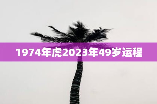 1974年虎2025年49岁运程