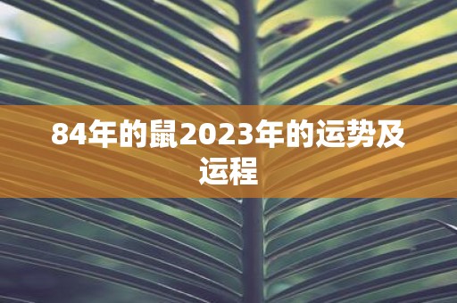 84年的鼠2025年的运势及运程