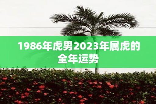 1986年虎男2025年属虎的全年运势