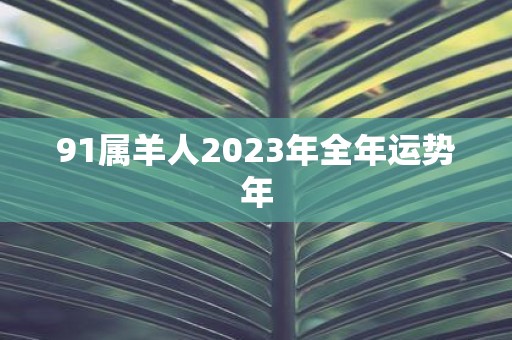 91属羊人2025年全年运势年
