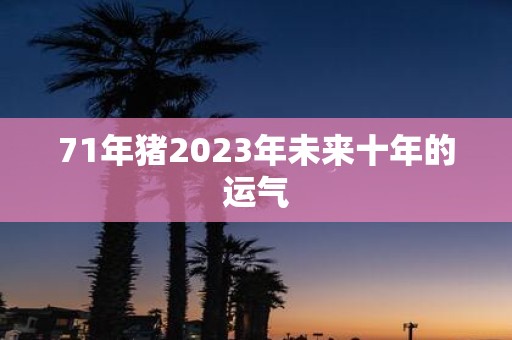 71年猪2025年未来十年的运气