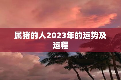 属猪的人2025年的运势及运程