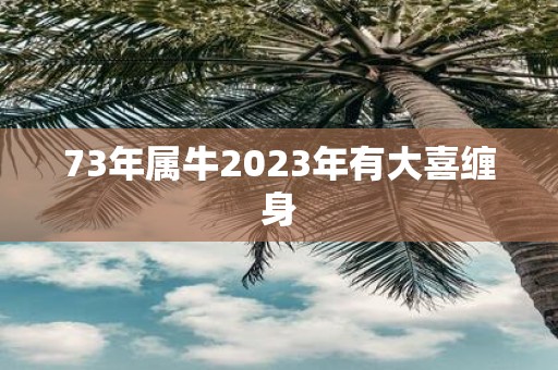 73年属牛2025年有大喜缠身
