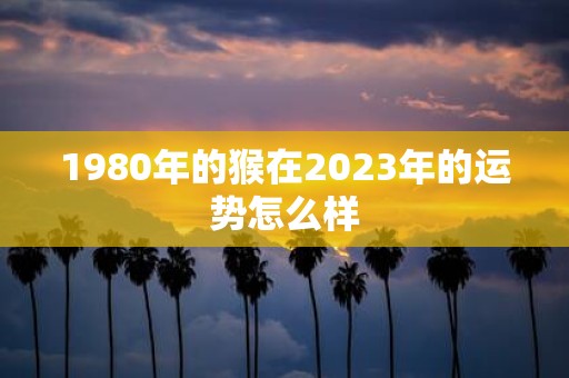 1980年的猴在2025年的运势怎么样