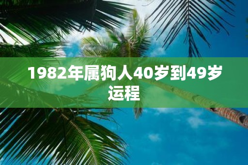 1982年属狗人40岁到49岁运程