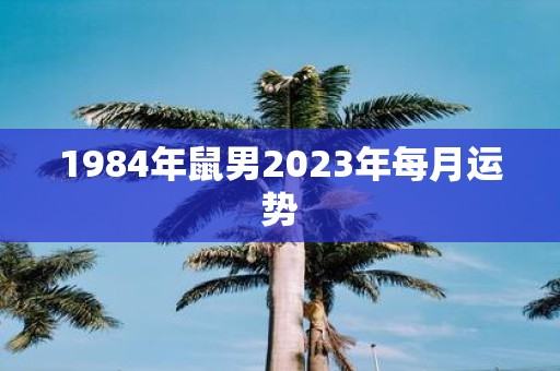 1984年鼠男2025年每月运势