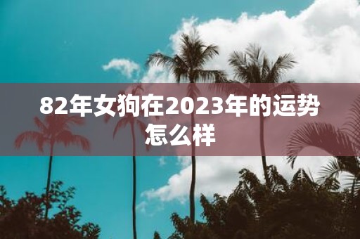 82年女狗在2025年的运势怎么样