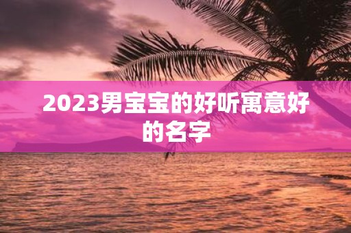 2025男宝宝的好听寓意好的名字
