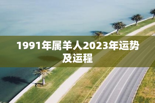 1991年属羊人2025年运势及运程