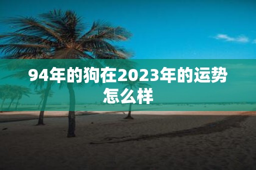94年的狗在2025年的运势怎么样