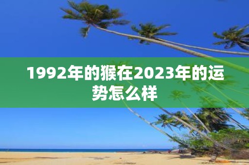 1992年的猴在2025年的运势怎么样