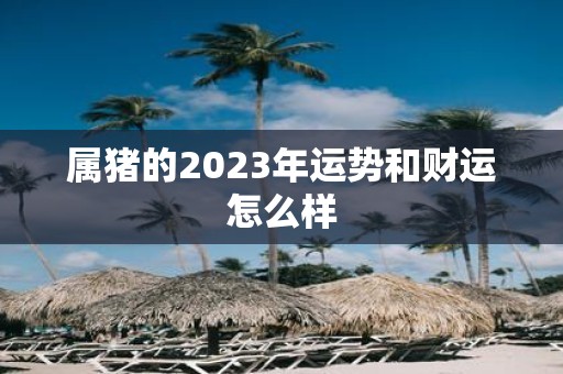 属猪的2025年运势和财运怎么样