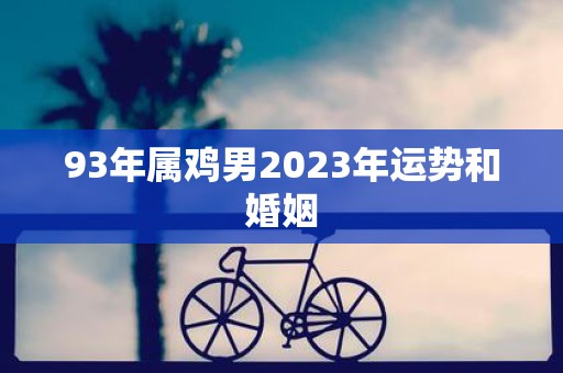 93年属鸡男2025年运势和婚姻
