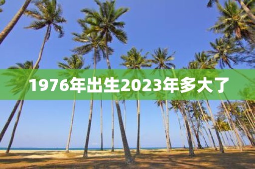 1976年出生2025年多大了