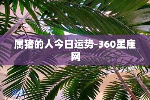 属猪的人今日运势-360星座网