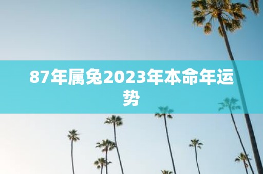 87年属兔2025年本命年运势