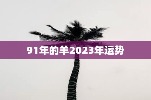 91年的羊2025年运势
