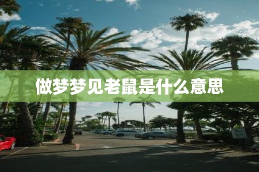 做梦梦见老鼠是什么意思