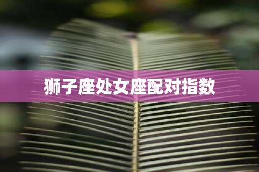 狮子座处女座配对指数