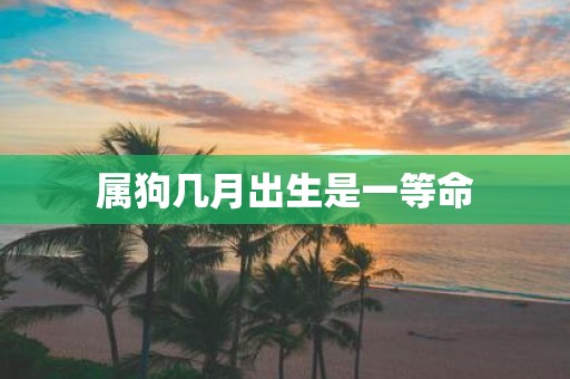 属狗几月出生是一等命