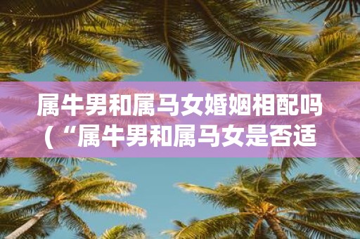属牛男和属马女婚姻相配吗(“属牛男和属马女是否适合结婚？”)