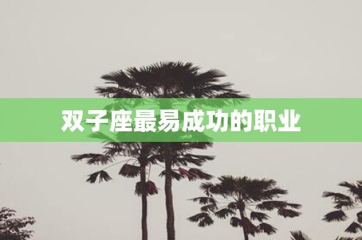 双子座最易成功的职业