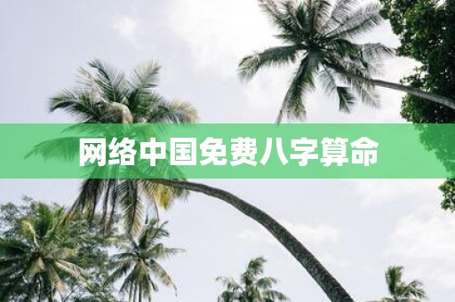 网络中国免费八字算命