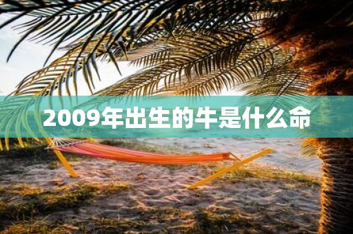 2009年出生的牛是什么命
